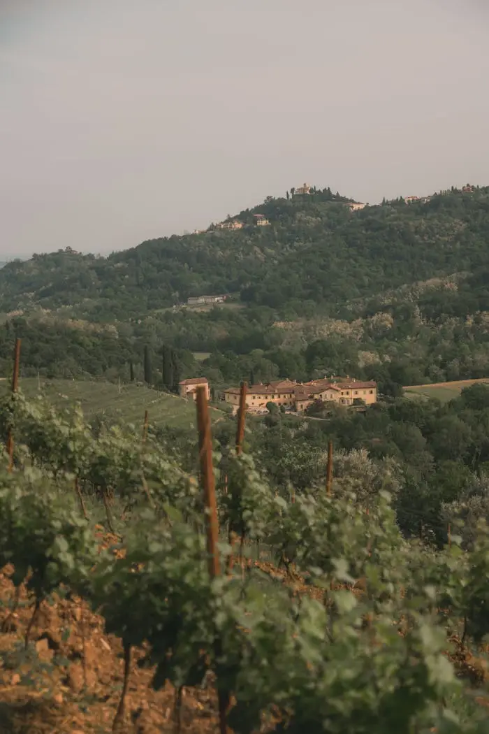 pexels photo 25032897.jpeg