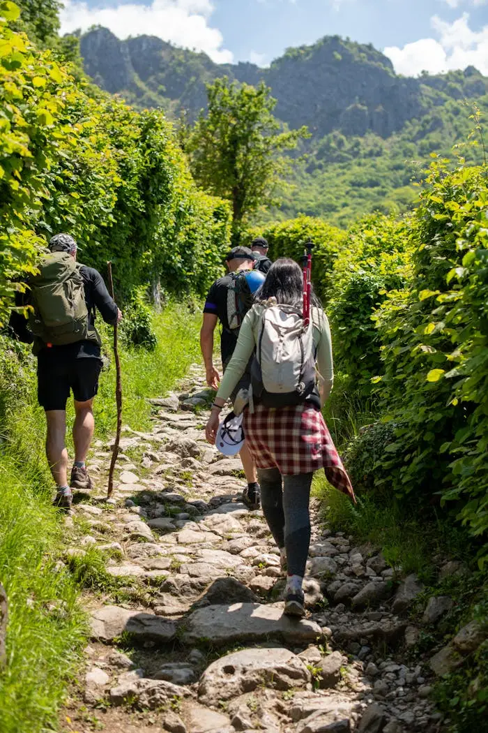 pexels photo 32278102.jpeg