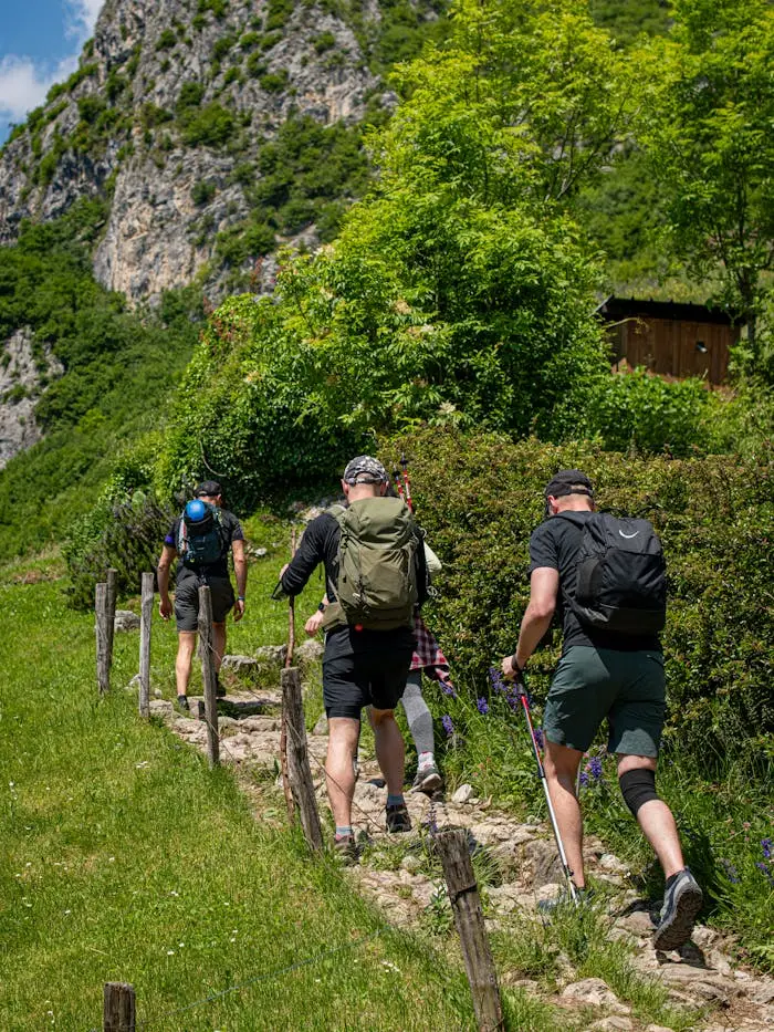 pexels photo 32278104.jpeg